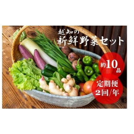 ふるさと納税 越知産市の季節の野菜セット(年2回発送) 高知県越知町
