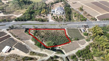 民雄正大路上大面寬休閒農地｜嘉義縣民雄鄉豐收段