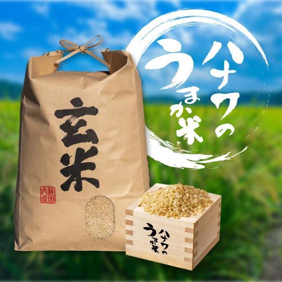 販売期間2024 06 30まで 米・穀物 玄米 多古米コシヒカリ（玄米）  令和5年 10kg 産地直送