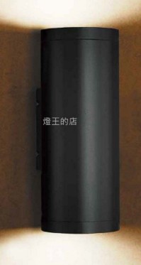 【燈王的店】舞光 工程燈 戶外燈具 戶外壁燈 庭園燈 走道燈 OD-2053R2