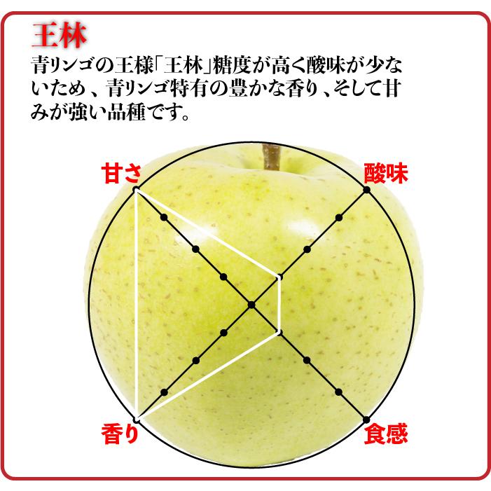 訳ありりんご 10kg 40玉前後 青森県産 送料無料 葉取らずりんご 訳あり 蜜入り リンゴ 林檎 お得用 ご家庭用 果物 フルーツ １０kg