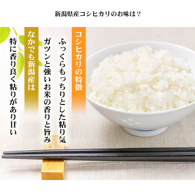 新米 米 白米 2kg コシヒカリ 新潟県産 令和5年産 コシヒカリ お米 2