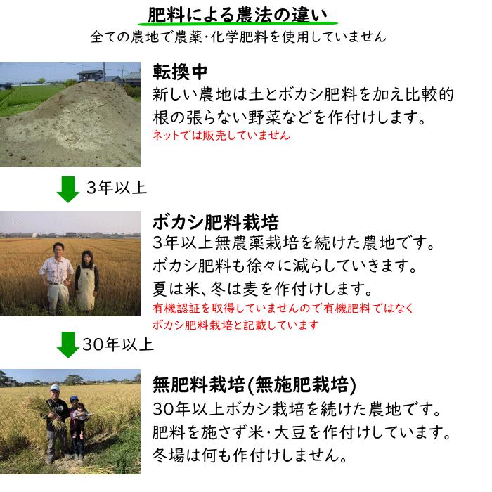 無農薬 無肥料 栽培米 15Kg 選べる 白米 分づき 福岡県産 令和5年度産 元気つくし 筑後久保農園