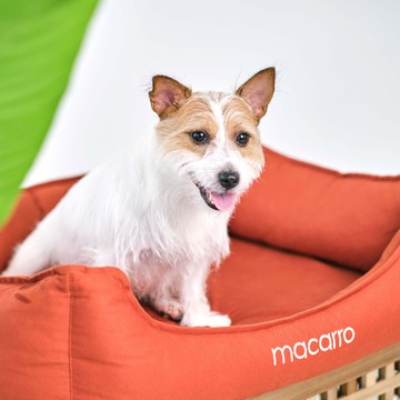 macarro 寵物乳膠床 純棉款 S號 兩色 - Elephant Gray大象灰