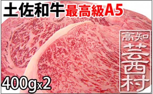  土佐和牛A5特選サーロイン＆リブロースステーキ400g×2枚セット 牛肉＜高知市共通返礼品＞