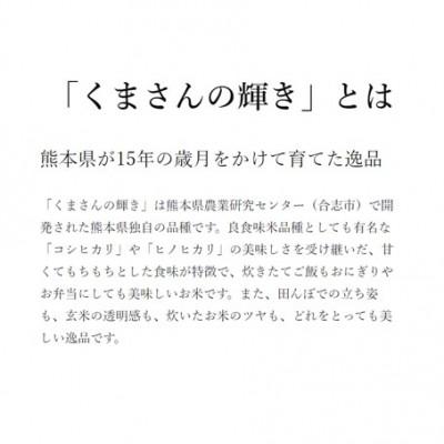 ふるさと納税 山鹿市 くまさんの輝き 白米 20kg(5kg×4袋)熊本県産