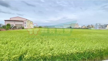 承義簡大雄區段徵收臨路角地｜彰化縣花壇鄉口庄段