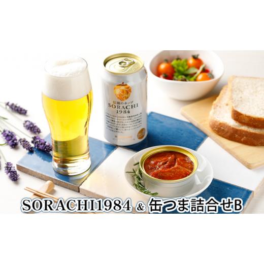 ふるさと納税 北海道 上富良野町 缶ビール(SORACHI1984)＆缶つま詰合せB 北海道 上富良野町 ソラチ1984 地ビール ビール つまみおつまみ 缶詰 缶