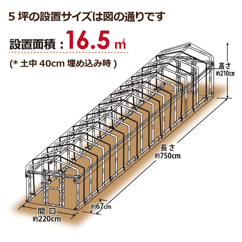 第一ビニール ダイムハウス ドア付 5坪 メーカー直送・代引不可