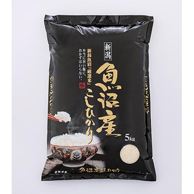 ふるさと納税 魚沼市 旨い飯におかずはいらない精米20kg 全9回