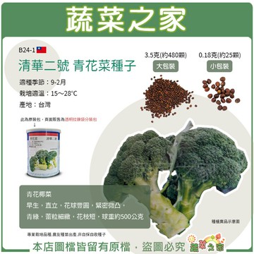 【蔬菜之家】B24-1.清華二號青花菜種子(2種規格可選) 青花椰菜 早生，直立，花球豐圓，緊密微凸