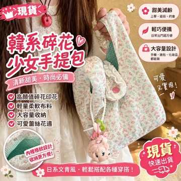 隔日到貨 👜 春夏新款手提包 韓係ins手提包 可愛迷你手提包 百搭手拎包 外出便攜手輓袋 收納包 包包女 袋子