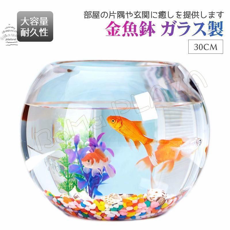 季節のおすすめ商品 金魚鉢 おしゃれなガラス製金魚鉢 太鼓鉢 大（７．６リットル） 水槽 - tokyo-bunka.com