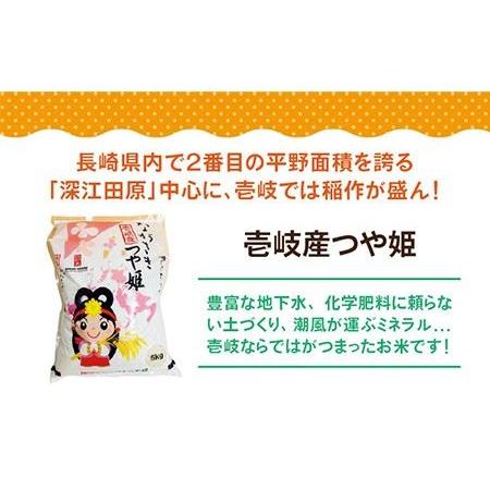 ふるさと納税 お米 壱岐産 つや姫  5kg 《 壱岐市 》 [JBO058] 米 お米 新米  84000 84000円  長崎県壱岐市