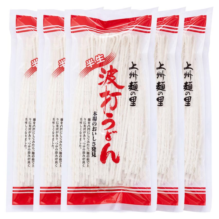 桐生の波打うどん ねじれうどん 5袋（300g×5） 送料無料 半生麺 デコボコ麺 なみうちうどん うどん 群馬 贈答品