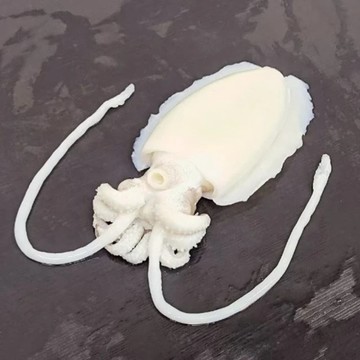 海肉管家 【滿777免運】特級鮮Q甜肥厚大花枝(1隻_400g/隻)