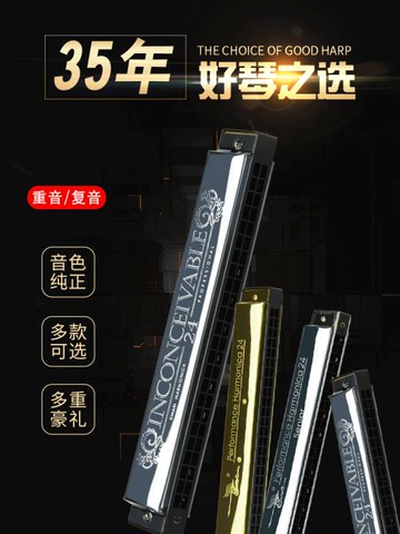 口琴 天鵝口琴24孔C調重音 復音成人初學者兒童自學演奏入門教學樂器 限時88折