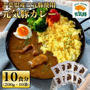 元気豚 カレーセット　2kg(200g×10食分)