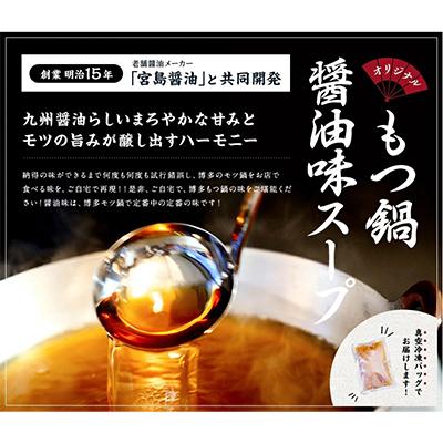 ふるさと納税 那珂川市 博多醤油もつ鍋　3〜4人前セット(那珂川市)全6回