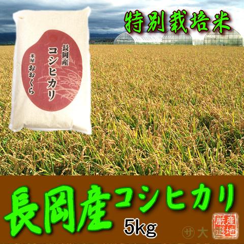 お米 5kg 特別栽培米 新潟県産 コシヒカリ （ 長岡地区限定 ）（ 令和5年産 ） 5kg 