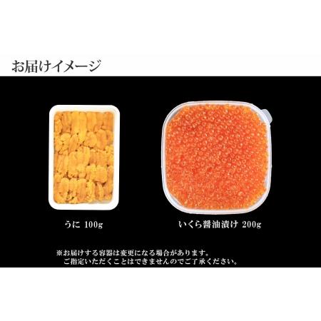 ふるさと納税 1768.  うに 100g いくら醤油漬け 200g ウニ チリ産 冷凍 いくら 二色丼 雲丹 イクラ 海鮮 海鮮丼 うに丼 いくら丼 いくら醤油漬.. 北海道弟子屈町