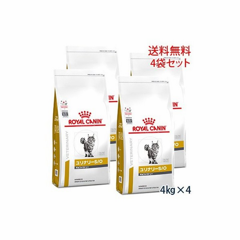 SALE/80%OFF】 ロイヤルカナン 食事療法食 猫用 ユリナリーS O オルファクトリー ドライ 2kg 旧 pHコントロール2 フィッシュテイスト fucoa.cl SALE/80%OFF】 ロイヤルカナン 食事療法食 猫用 ユリナリーS O オルファクトリー ドライ 2kg 旧 pHコントロール2 フィッシュテイスト fucoa.cl