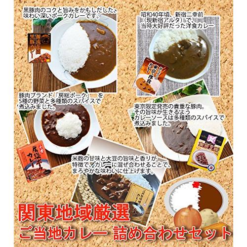 関東 ご当地 レトルトカレー 詰め合わせ 5種10食セット昔ながらの東京・洋食 東京×豚 千葉房総 源流花園黒豚 江戸甘味噌