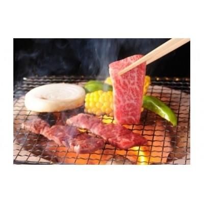 ふるさと納税 七宗町 ※HNP-07飛騨牛焼肉用飛騨牛肩ロース肉700g