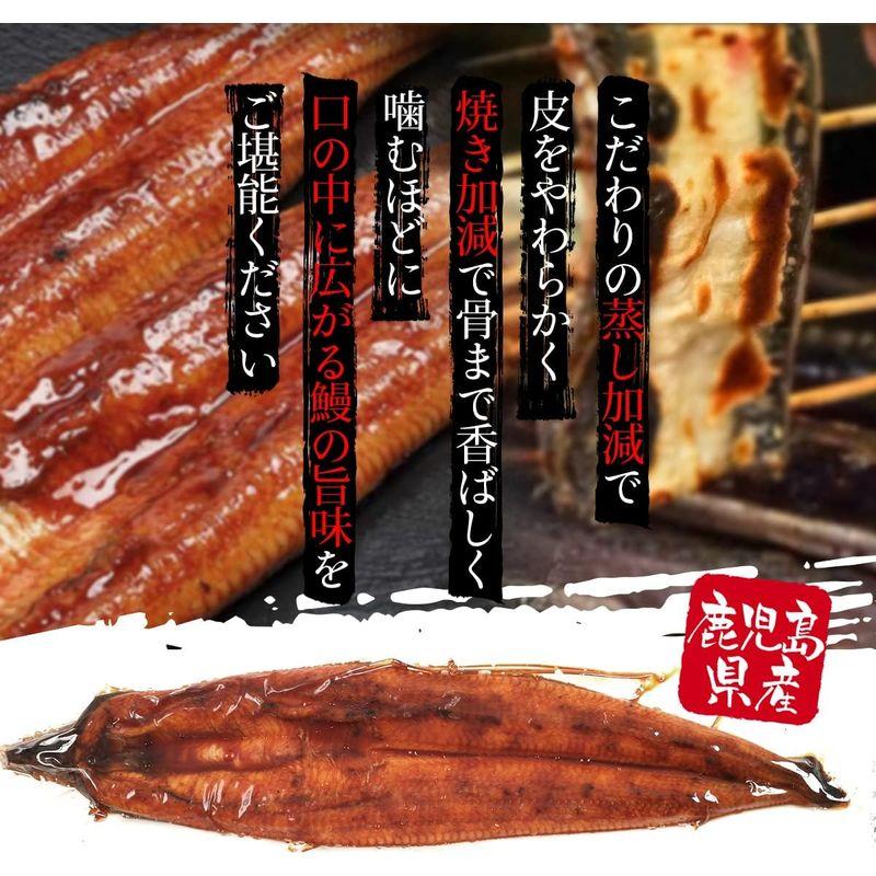 エーエフ企画 鹿児島県産 うなぎの蒲焼 140g×1尾