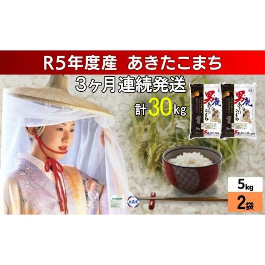 ふるさと納税 秋田県 男鹿市 定期便 令和5年産 あきたこまち 精米 10kg