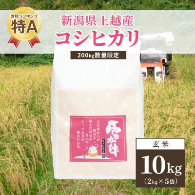 ふるさと納税 上越市 令和5年 新潟上越産「標高480mの山間地で育てた棚田米コシヒカリ」玄米10kg