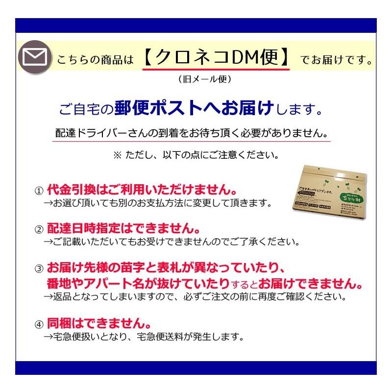 たまねぎスープ オニオンスープ 玉ねぎスープ 淡路島産 10包　ちこり芋の粉末・ぬちまーす入 ちこり村