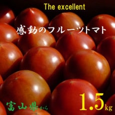 フルーツトマト(深層水トマト)1.5キロ