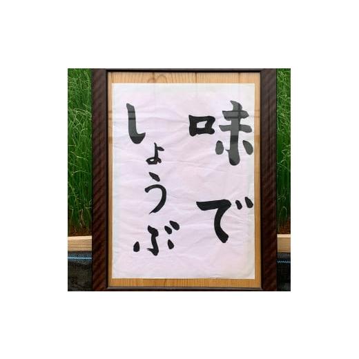 ふるさと納税 群馬県 富岡市 田舎の2Lねぎ 15本 長ネギ 長ねぎ 長葱 ねぎ 有機肥料  野菜