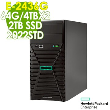 HP 惠普 ML30 Gen11 四核商用伺服器 (E-2436G/64G/4TBX2+2TB SSD/2022STD)