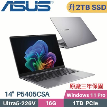 ASUS ExpertBook P5 P5405CSA-0131A226V 商用(CU5-226V/16G/2TB SSD/Win11 PRO/14)特仕