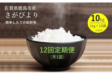 鹿島市産さがびより１０kg×１２か月定期便 V-28