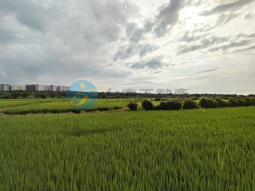 芎林富林段方正農地｜新竹縣芎林鄉富林段