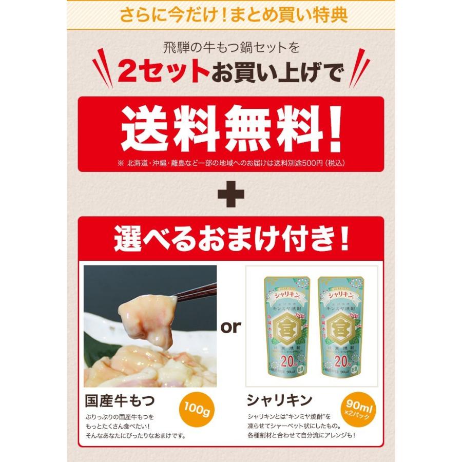 もつ鍋 もつ鍋セット ホルモン鍋 国産 醤油 300g ちゃんぽん麺 スープ