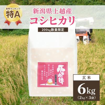 ふるさと納税 上越市 令和5年 新潟上越産「標高480mの山間地で育てた棚田米コシヒカリ」玄米6kg