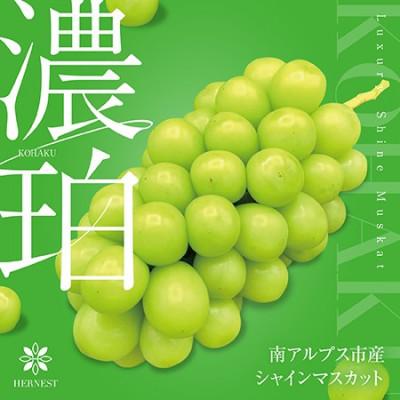 ふるさと納税 南アルプス市 濃珀〜KOHAKU〜　南アルプスの高級シャインマスカット　3房から5房　約1.8kg