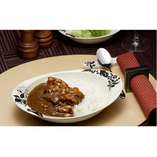 F30-6 有田焼カレーセット