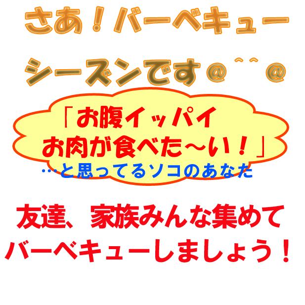 福袋 送料無料 ヤキニクブクロ 阿波牛の藤原 黒毛和牛 焼肉 セット