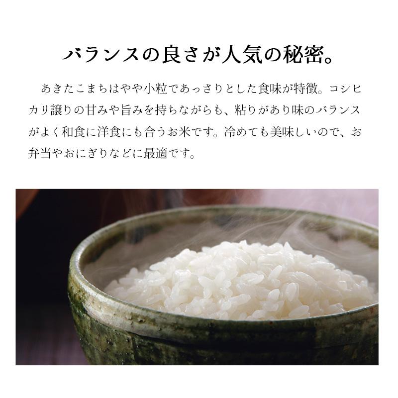 新米 20kg あきたこまち お米 秋田県産 令和５年産 送料無料 （沖縄のぞく）