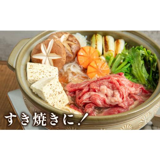 ふるさと納税 福岡県 糸島市 博多 和牛 切り落とし 500g 糸島市 牛肉 肉じゃが すき焼き 炒め物 用 [ABH002]