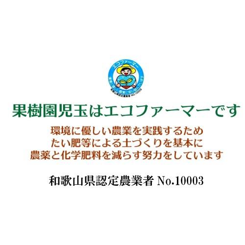 あんぽ柿 無添加 和歌山 送料無料 70g×18個