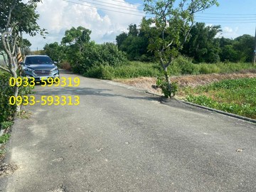 近66快速路 農+建地 ｜桃園市新屋區石磊子段石磊子小段