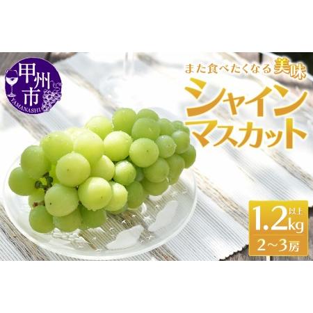 ふるさと納税 また食べたくなる 美味 シャインマスカット 1.2kg（MRN）B-147 山梨県甲州市