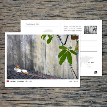 No.16臺灣明信片 / 臺中興大一村貓咪 / 任選買10送1