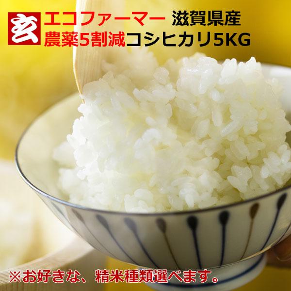 新米 米 5kg 送料無料 精米選択可 農薬5割減 滋賀県産 コシヒカリ 玄米5kg 産年：令和5年産